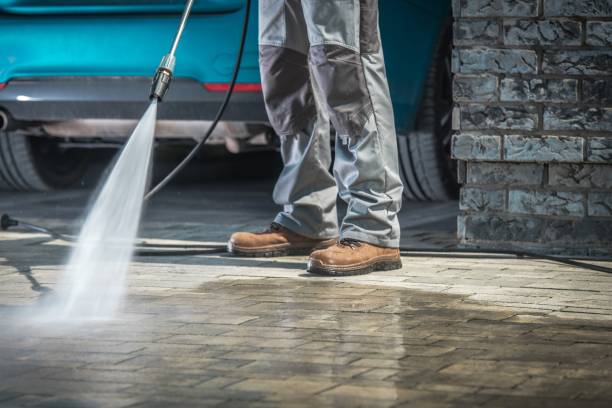 Best Building Exterior Washing  in Walterboro, SC