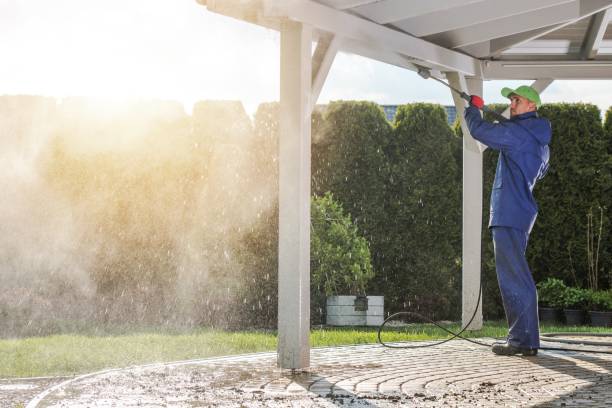 Best Spring Cleaning  in Walterboro, SC